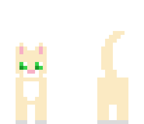 kitty with white out siding