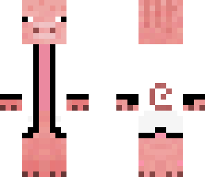 dr piginstien