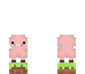 baby pig
