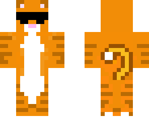 swag cat