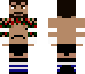 wwe cm punk