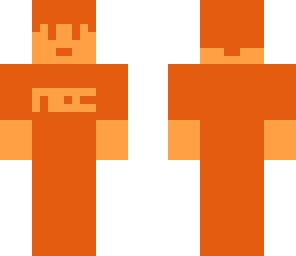 nes