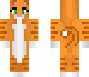 ginger cat