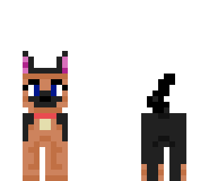 puppy