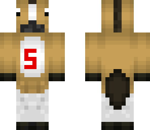 spageti horse