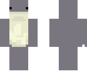 winter the dolphin