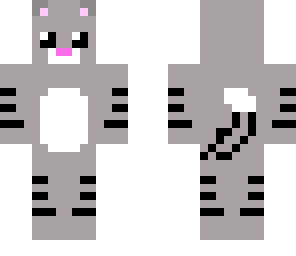 grey cute cat