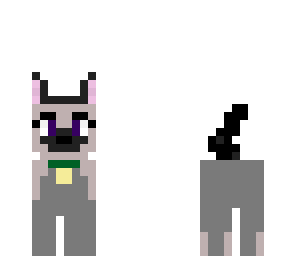 dog gray