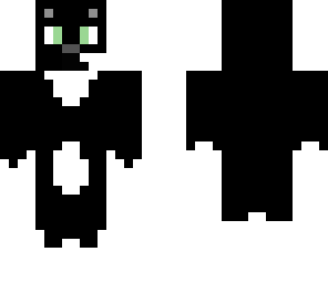 black and white cat
