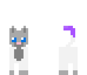 kitty cat