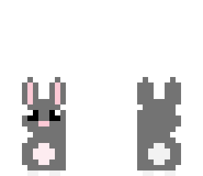 grey bunny