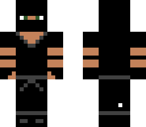 ninja skin