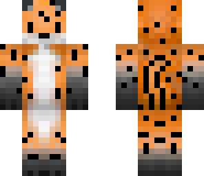 cheetah
