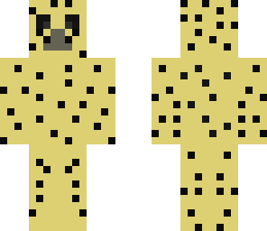 cheetah