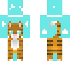 tiger cat in the sky