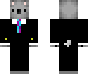 cool koala