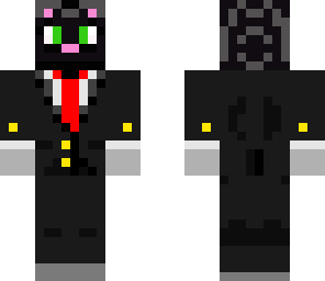 fancy cat