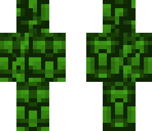 leaves