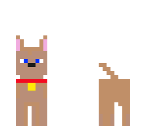 dog