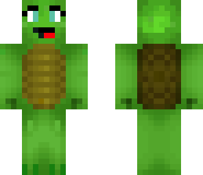 girl headphone's turtle