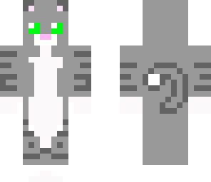 gray cat fixed