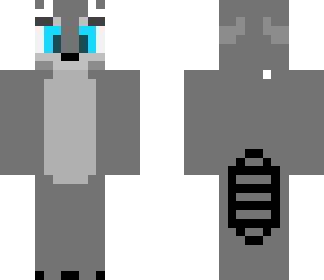 raccoon