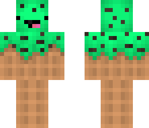 dj mint chip