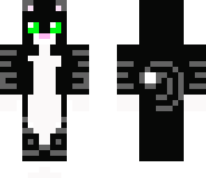 black cat