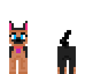dogy