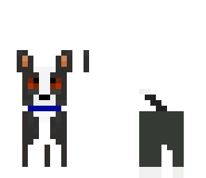 dog edit