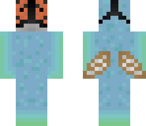 fly guy