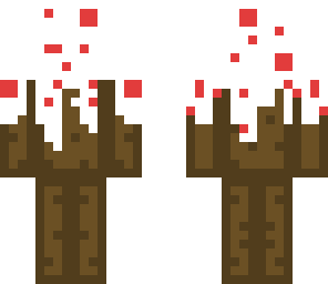 cake skin