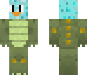 skin