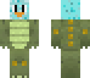 skin