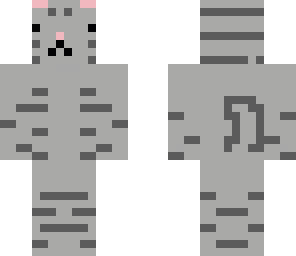 grey kitty cat