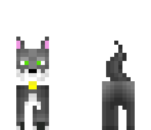 white colored wolf