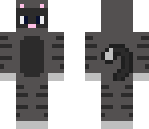 gray cat