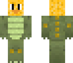 skin