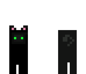 black cat