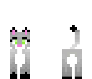 cutey cat