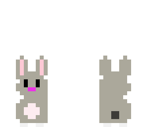 bunny