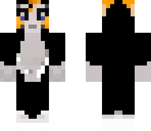 my cat
