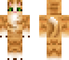 my friends skin flamestar