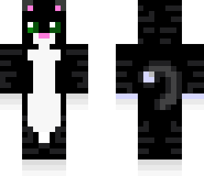 a cat