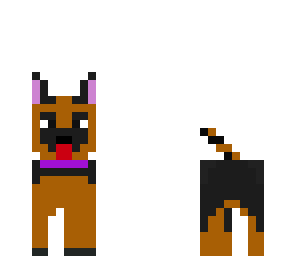 german shepard
