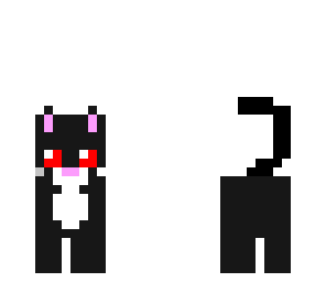 black cat