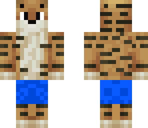 swag tiger 3