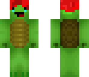 turtle with a hat