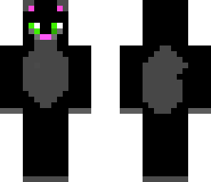 cute cat