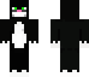 black and white cat